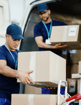 Orbex Comercial
